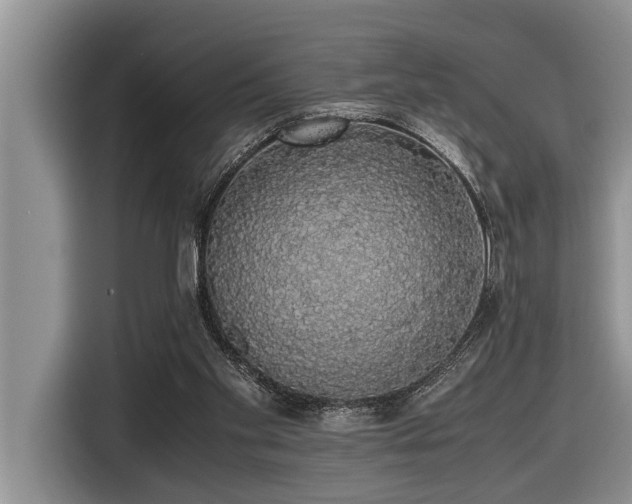 X0000116420109200912081512