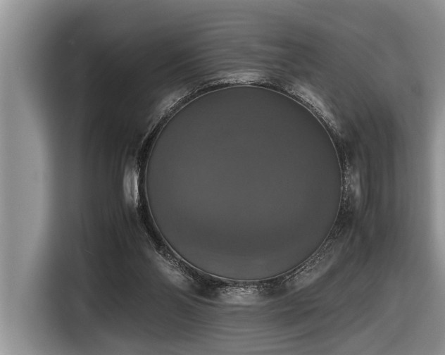 X0000116420110200912081512