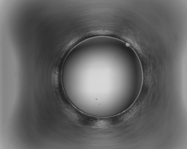 X0000116420111200912081512