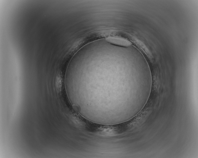 X0000116420113200912081512