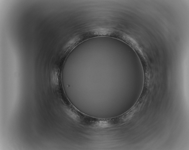 X0000116420114200912081512