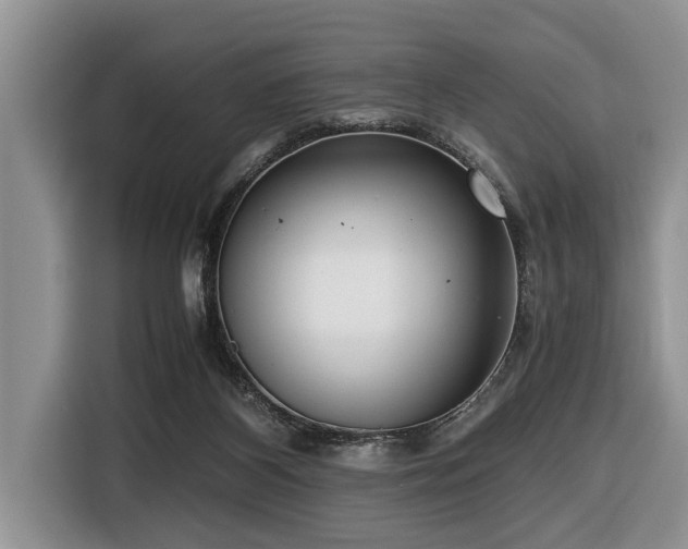 X0000116420116200912081512