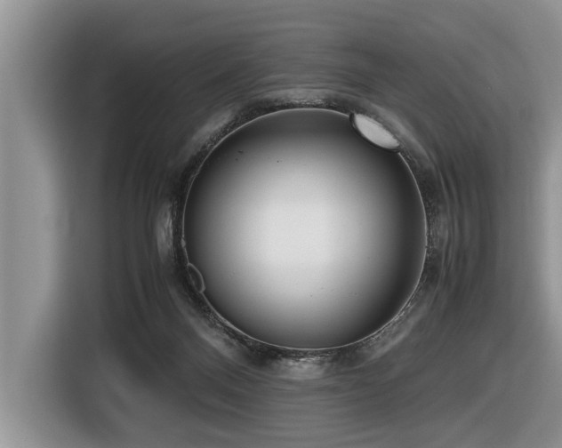 X0000116420120200912081512