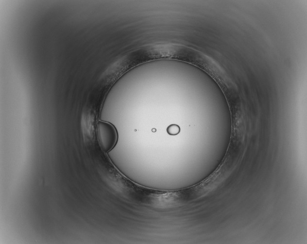 X0000116420122200912081512