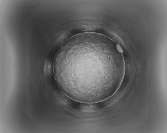 X0000116420123200912081512