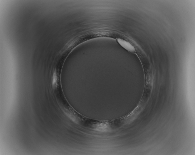X0000116420124200912081512