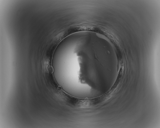 X0000116420127200912081512