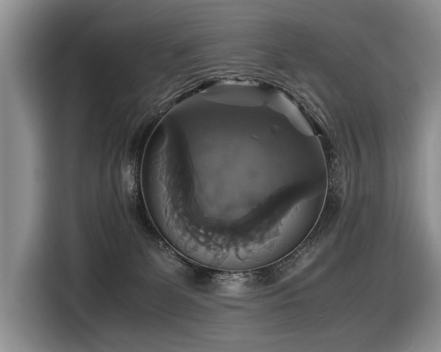 X0000116420131200912081511