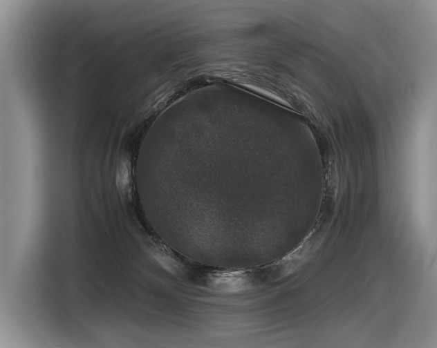 X0000116420132200912081511