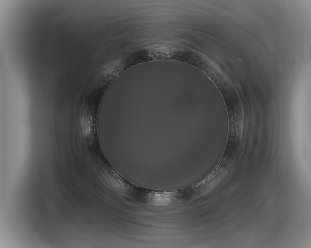 X0000116420134200912081511