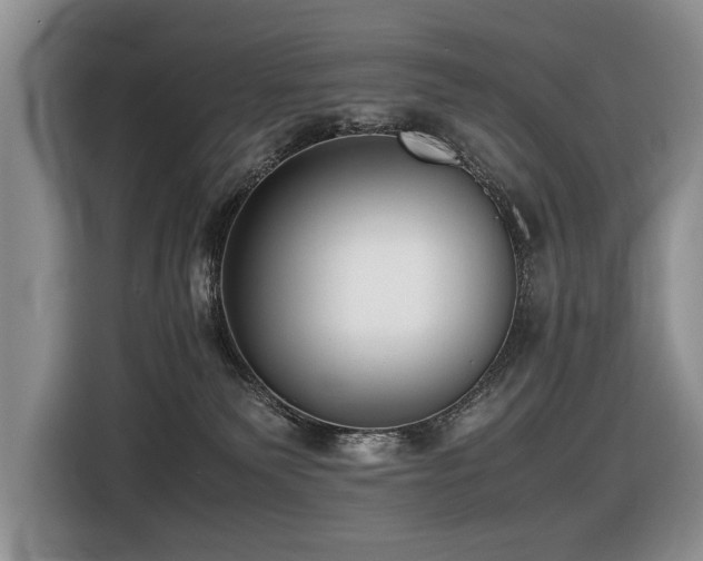 X0000116420135200912081511