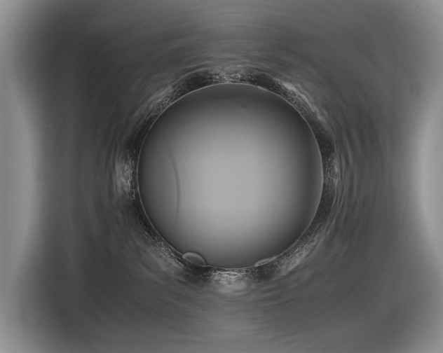 X0000116420139200912081511