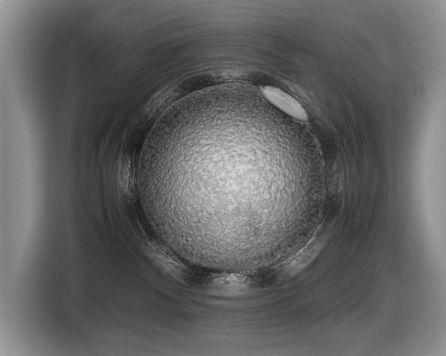 X0000116420140200912081511
