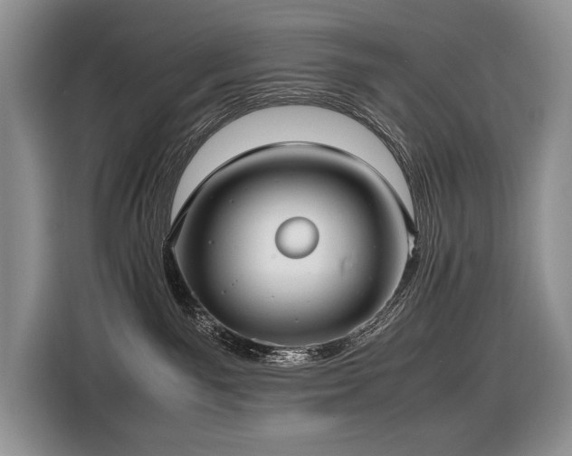 X0000116420141200912081511