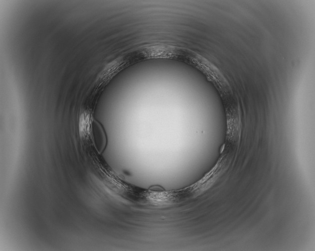 X0000116420142200912081511