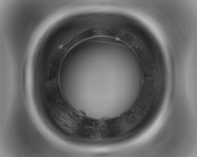 X0000116420143200912081511