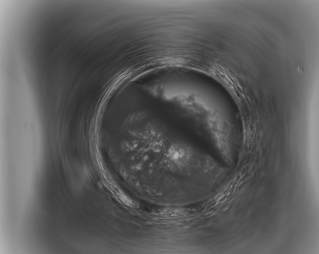 X0000116420145200912081511