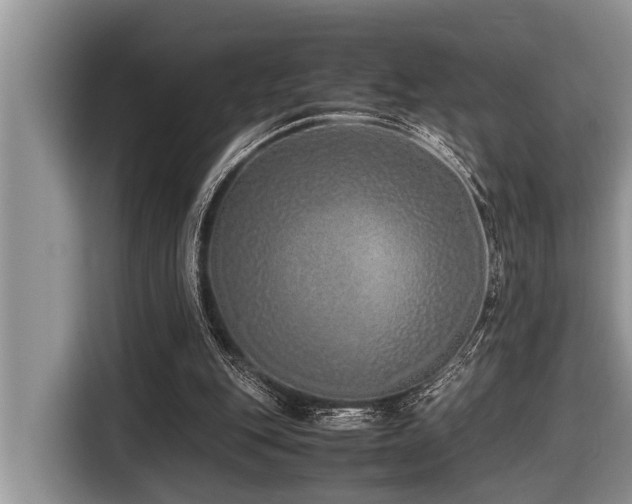 X0000116420151200912081511