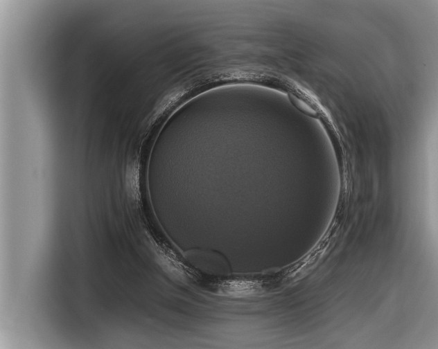 X0000116420154200912081511