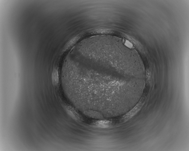 X0000116420158200912081511