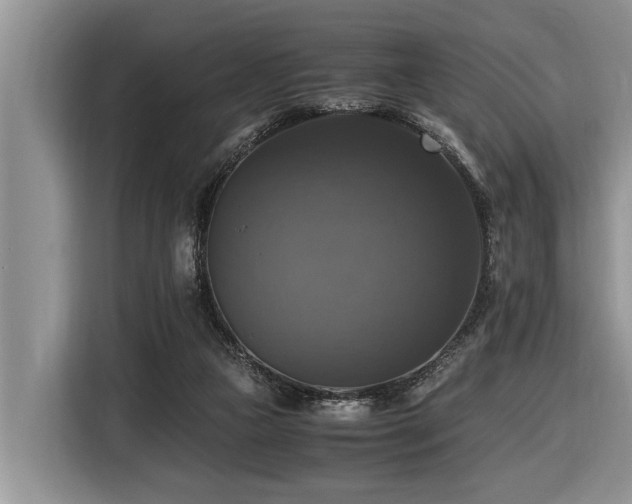X0000116420161200912081511