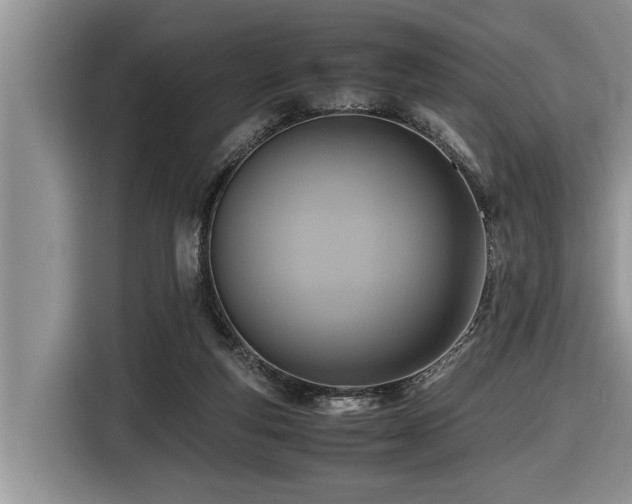 X0000116420163200912081511