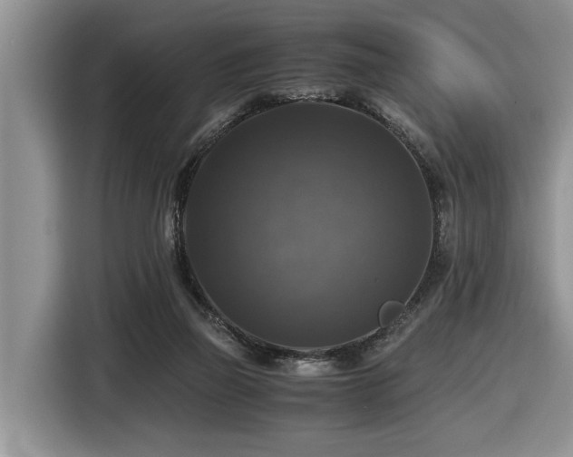 X0000116420165200912081511