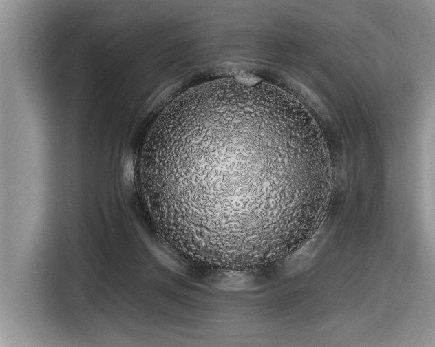 X0000116420166200912081511