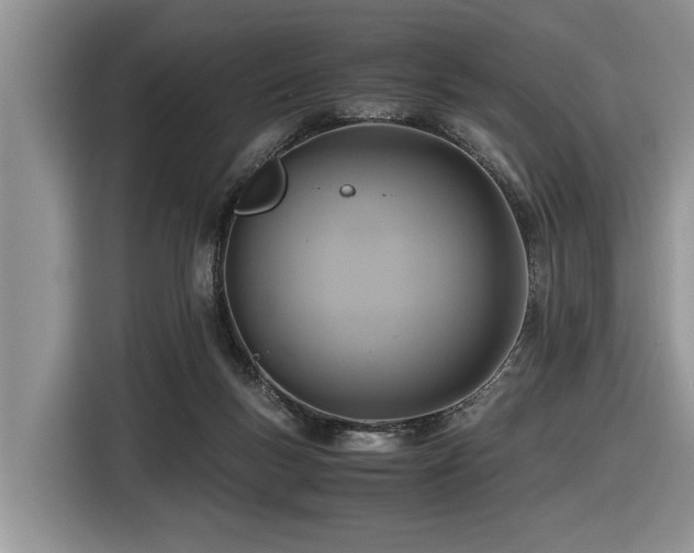 X0000116420167200912081511