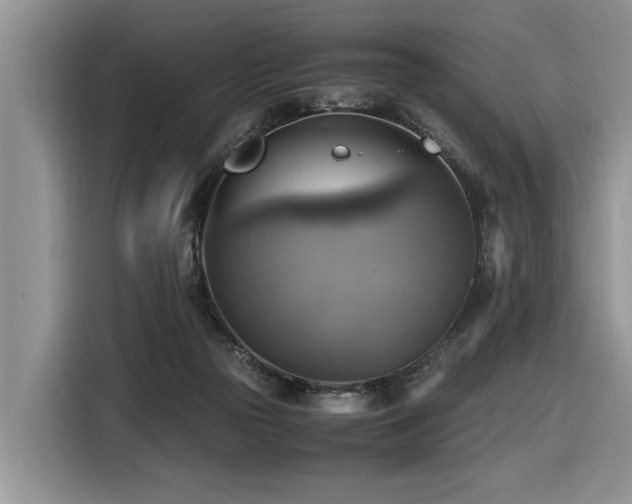 X0000116420169200912081511