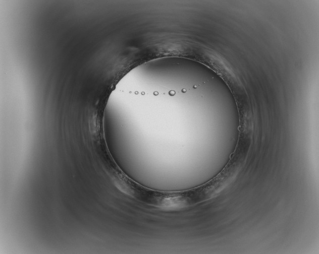 X0000116420173200912081511