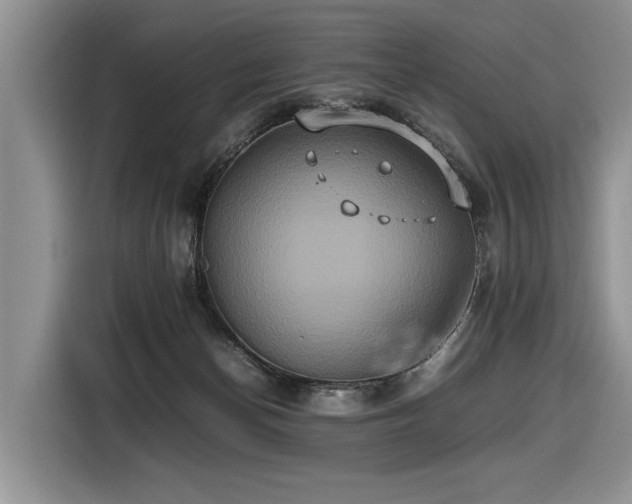 X0000116420174200912081511