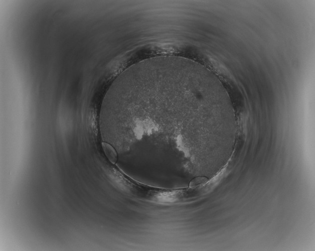 X0000116420178200912081511