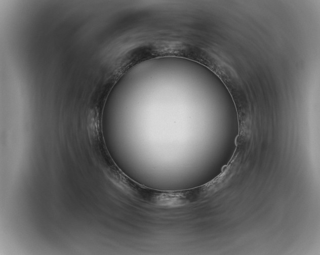 X0000116420179200912081511