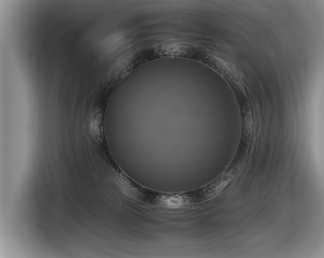 X0000116420181200912081511