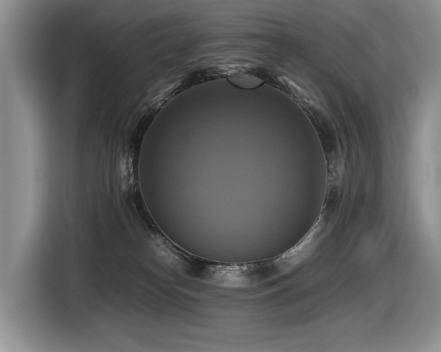 X0000116420182200912081511