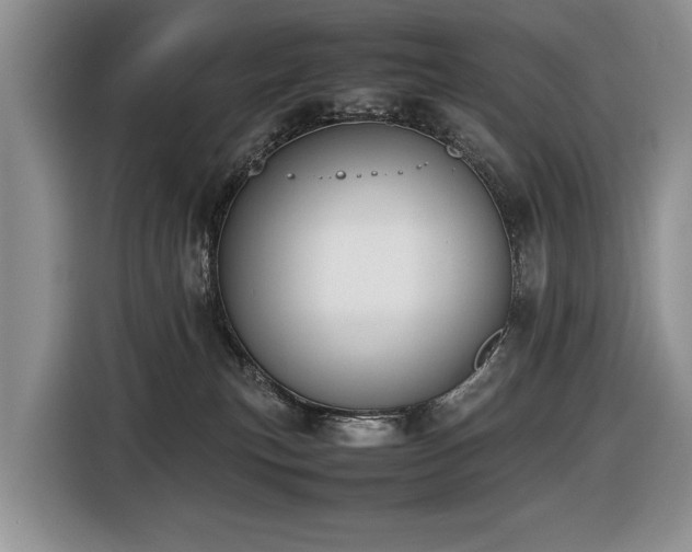 X0000116420183200912081511