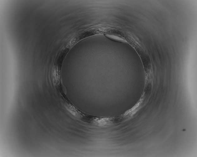 X0000116420186200912081511