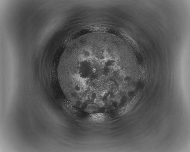 X0000116420189200912081511