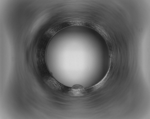 X0000116420190200912081511