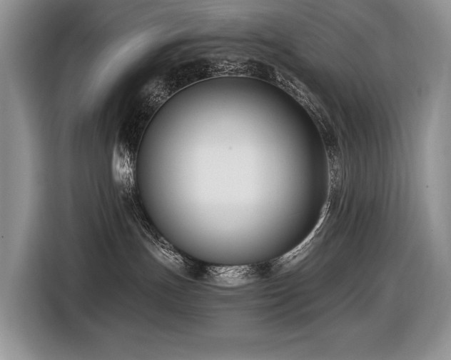 X0000116420191200912081511