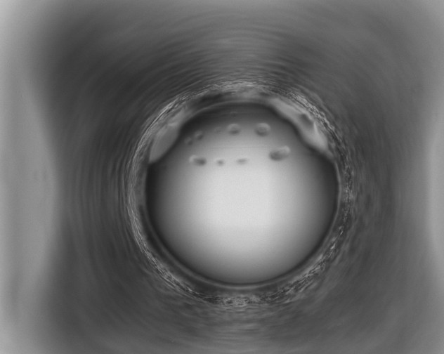X0000116420193200912081511