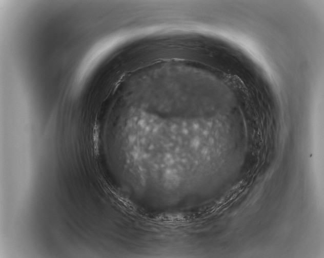 X0000116420194200912081511