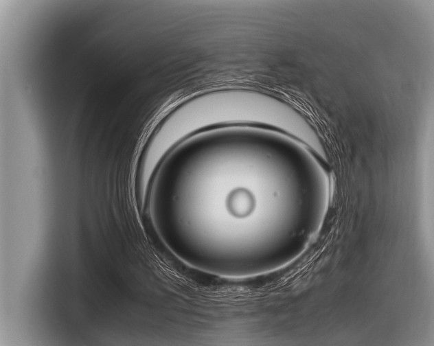X0000116420195200912081511