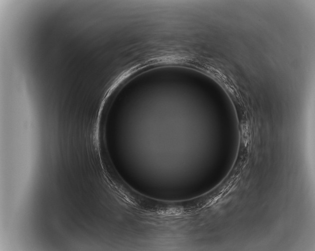 X0000116420196200912081511