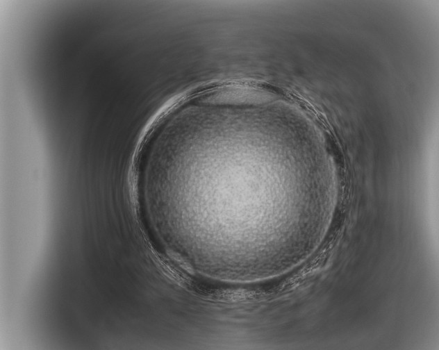X0000116420197200912081511