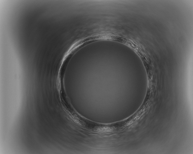 X0000116420198200912081511