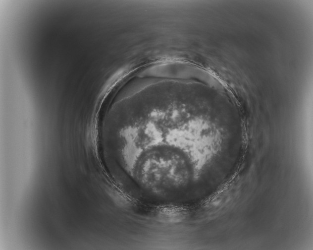 X0000116420199200912081511