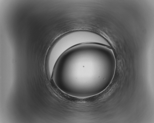 X0000116420203200912081511