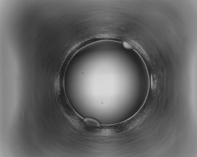 X0000116420204200912081511